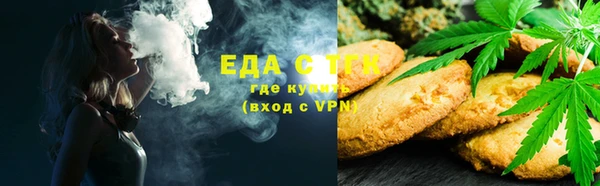 индика Аркадак