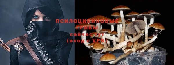 эйфоретик Армянск