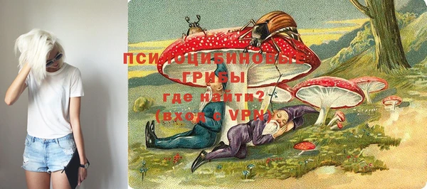 эйфоретик Армянск
