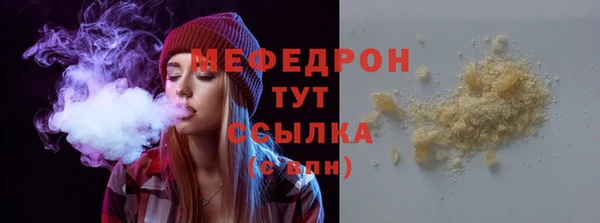 индика Аркадак