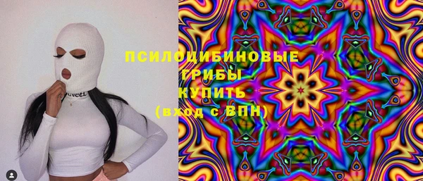 дмт Арсеньев