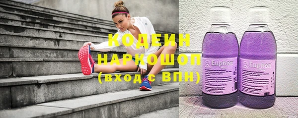 Альфа ПВП Няндома