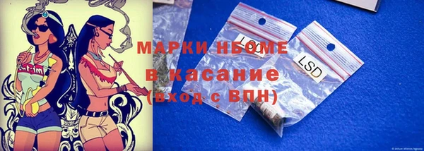 индика Аркадак