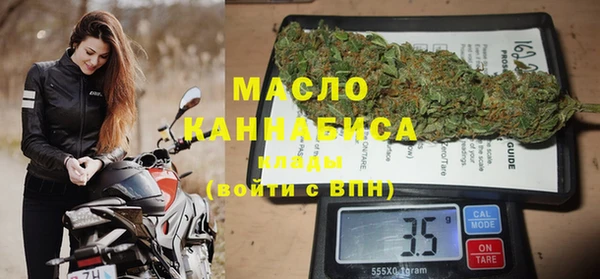 индика Аркадак