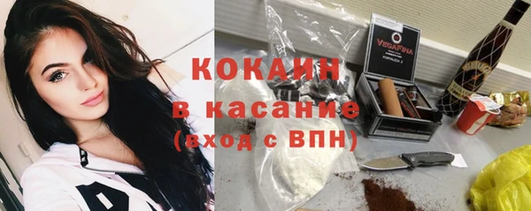 дмт Арсеньев